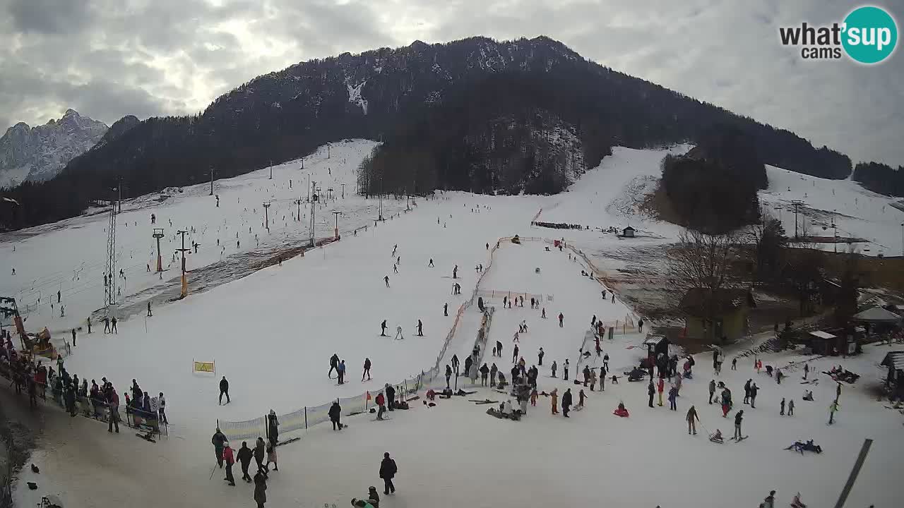 Meteo Kranjska Gora webcam | Piste da sci Kekec – Mojca – Rožle