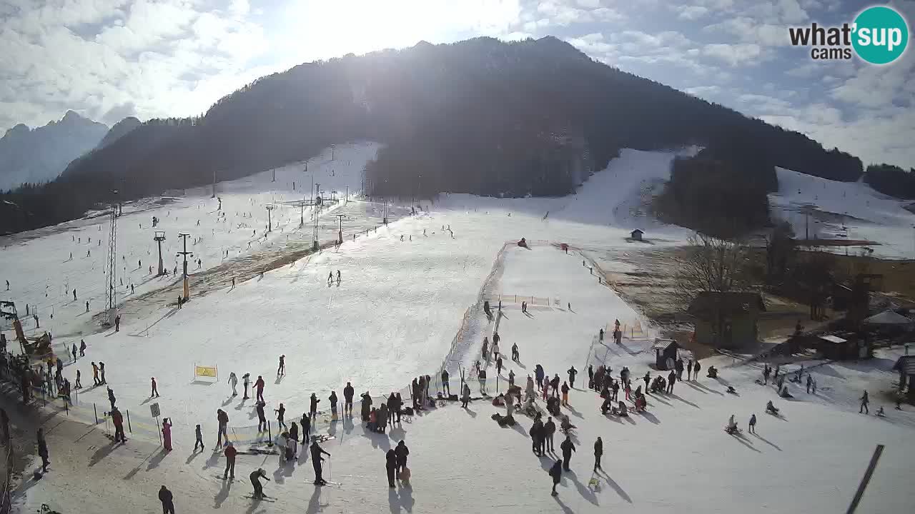 Kranjska Gora Slovénie webcam | Ski Mojca – Rožle – Kekec