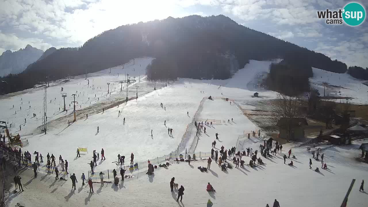 Meteo Kranjska Gora webcam | Piste da sci Kekec – Mojca – Rožle