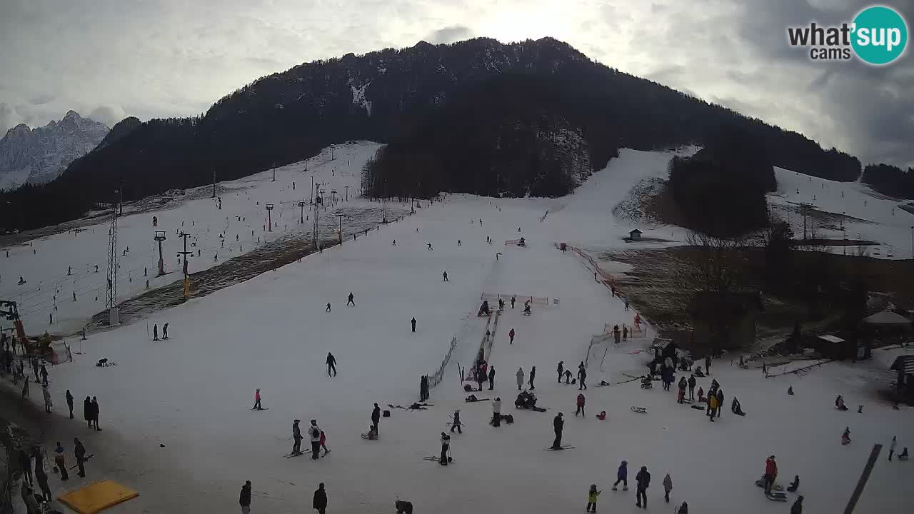 Meteo Kranjska Gora webcam | Piste da sci Kekec – Mojca – Rožle