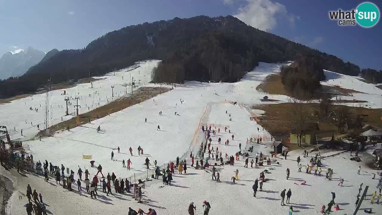 Kranjska Gora Slovénie webcam | Ski Mojca – Rožle – Kekec