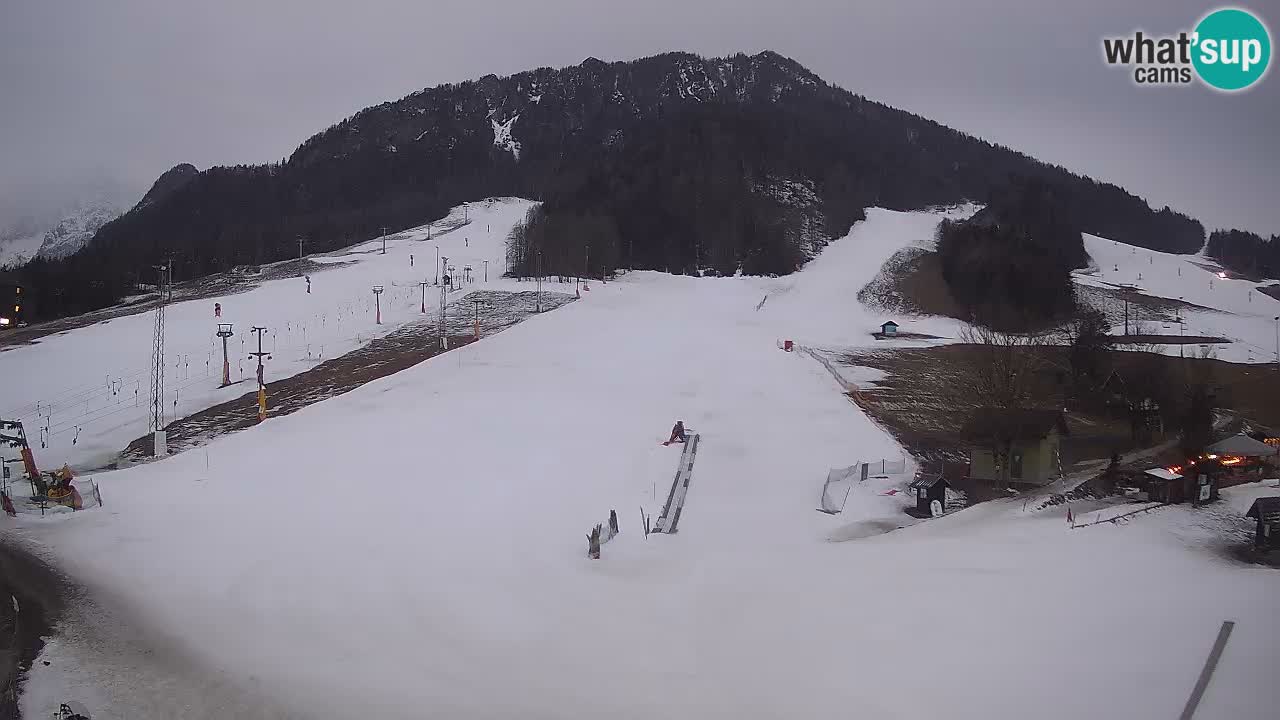 Kranjska Gora SKI area | Mojca – Rožle – Kekec ski sloap