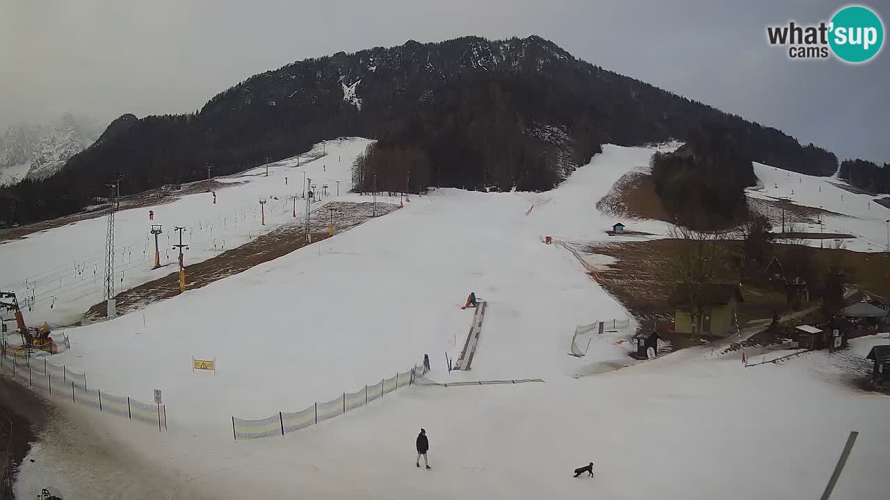 Kranjska Gora Slovénie webcam | Ski Mojca – Rožle – Kekec