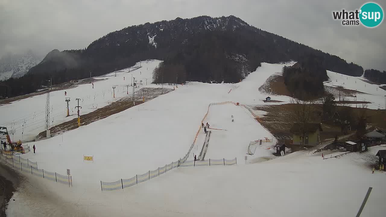 Kranjska Gora Slowenien webcam | Skigebiet Mojca – Rožle – Kekec