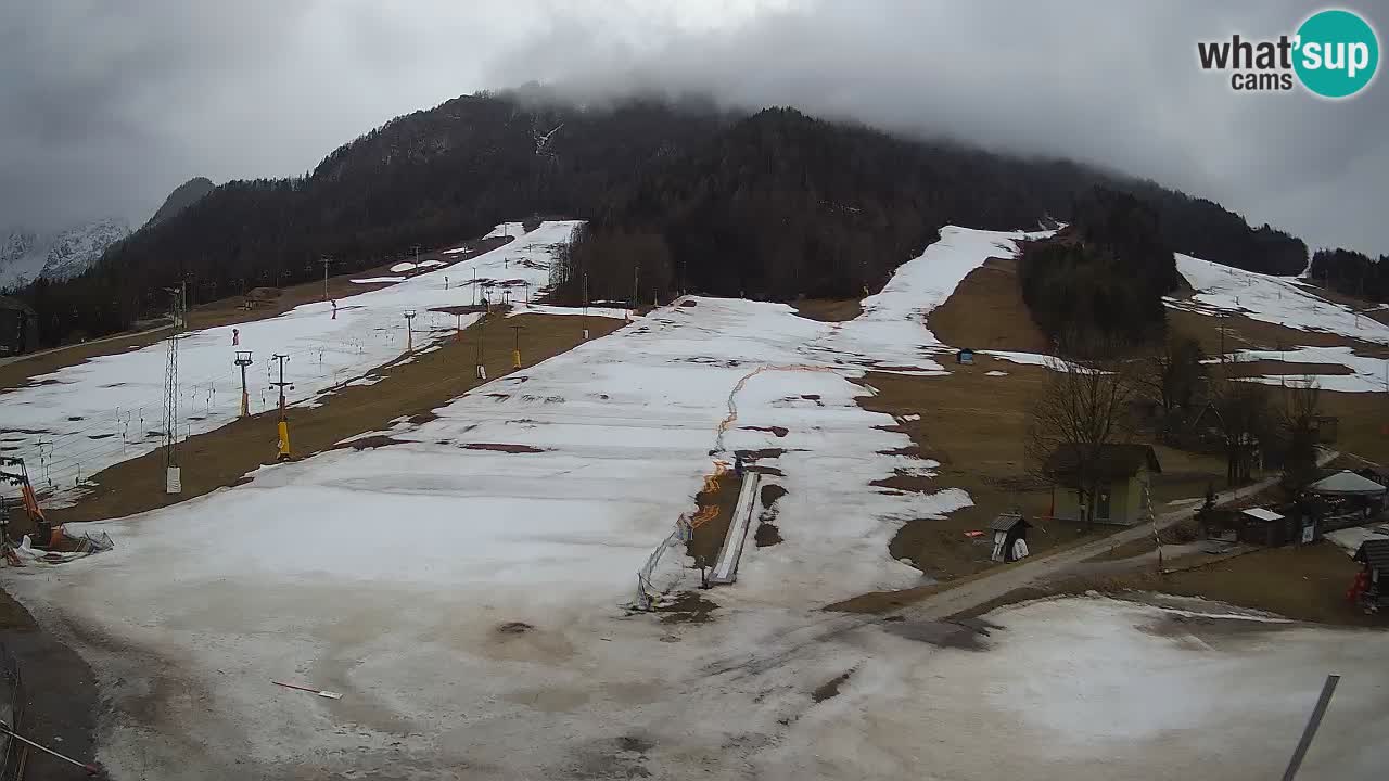 Kamera Kranjska Gora | Smučarska proga Kekec – Mojca – Rožle