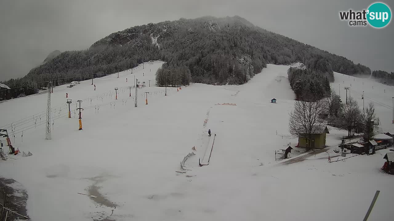 Meteo Kranjska Gora webcam | Piste da sci Kekec – Mojca – Rožle