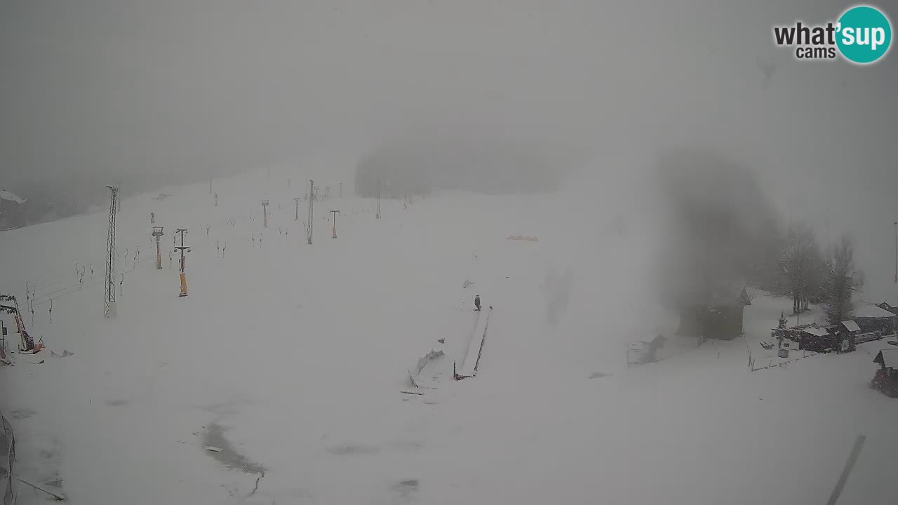 Kamera Kranjska Gora | Smučarska proga Kekec – Mojca – Rožle