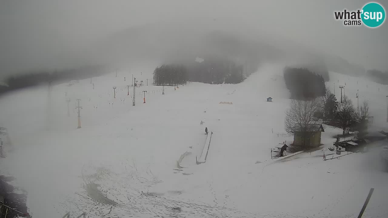 Meteo Kranjska Gora webcam | Piste da sci Kekec – Mojca – Rožle