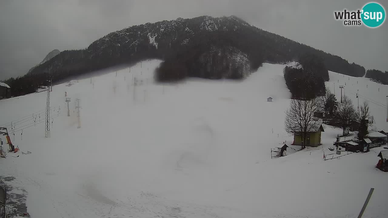 Tiempo Kranjska Gora webcam | Esquí Mojca – Rožle – Kekec