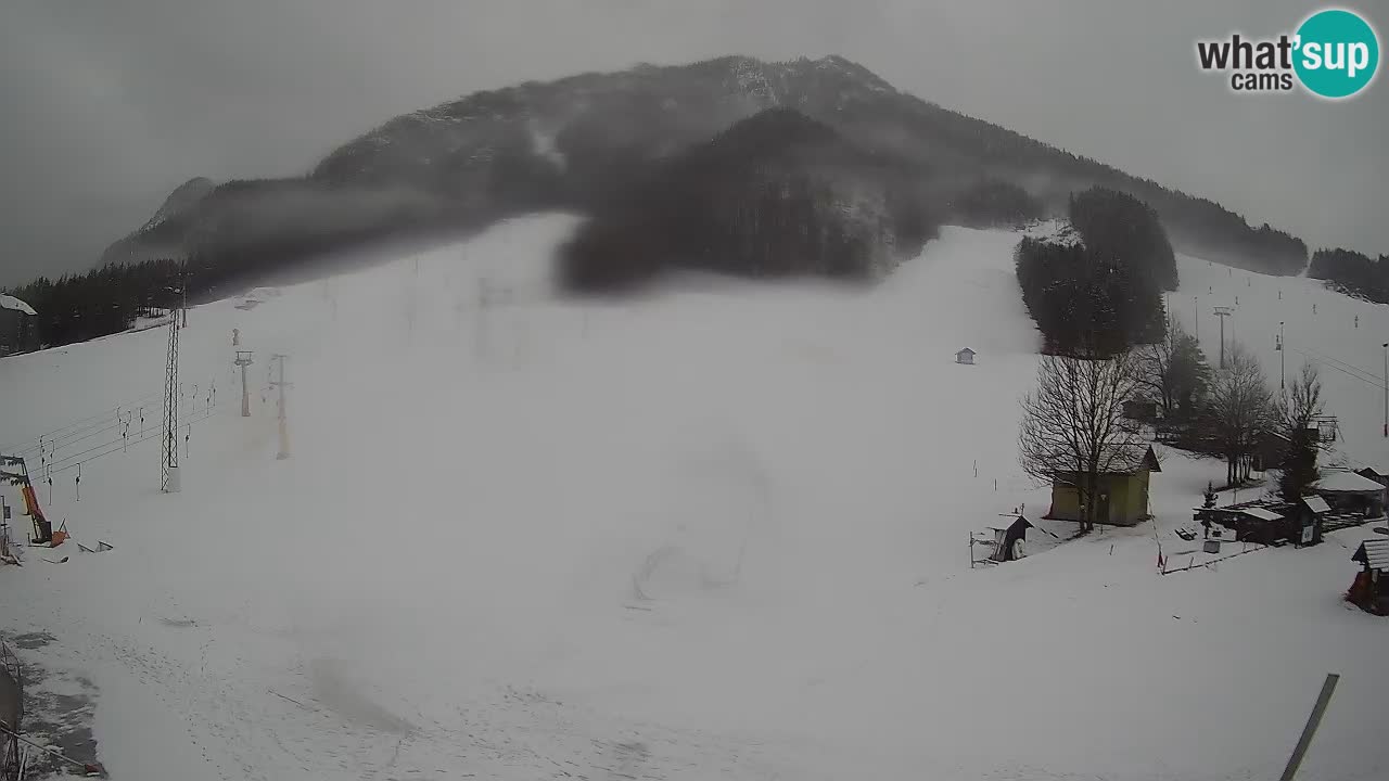 Kranjska Gora vrijeme webcam | Skijalište Mojca – Rožle – Kekec