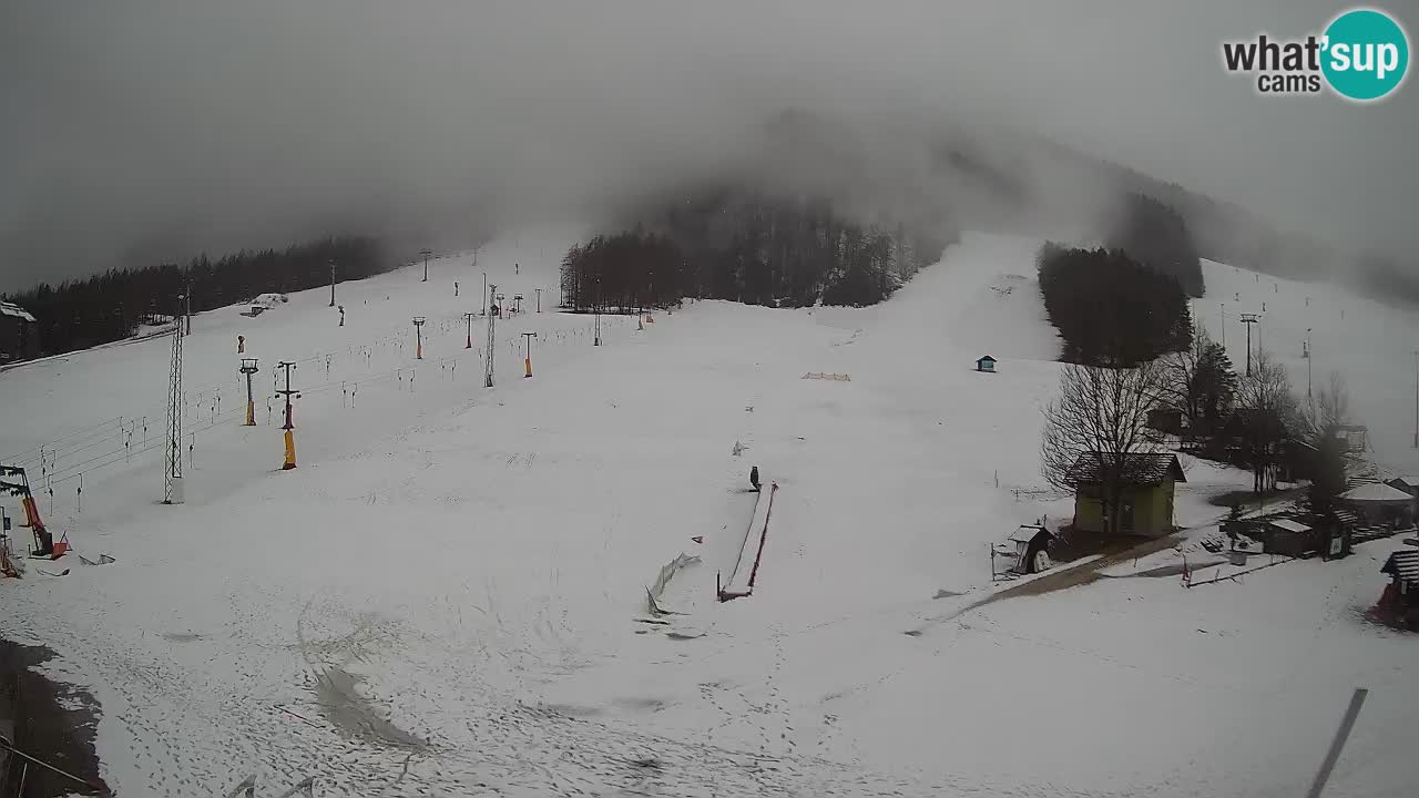 Meteo Kranjska Gora webcam | Piste da sci Kekec – Mojca – Rožle