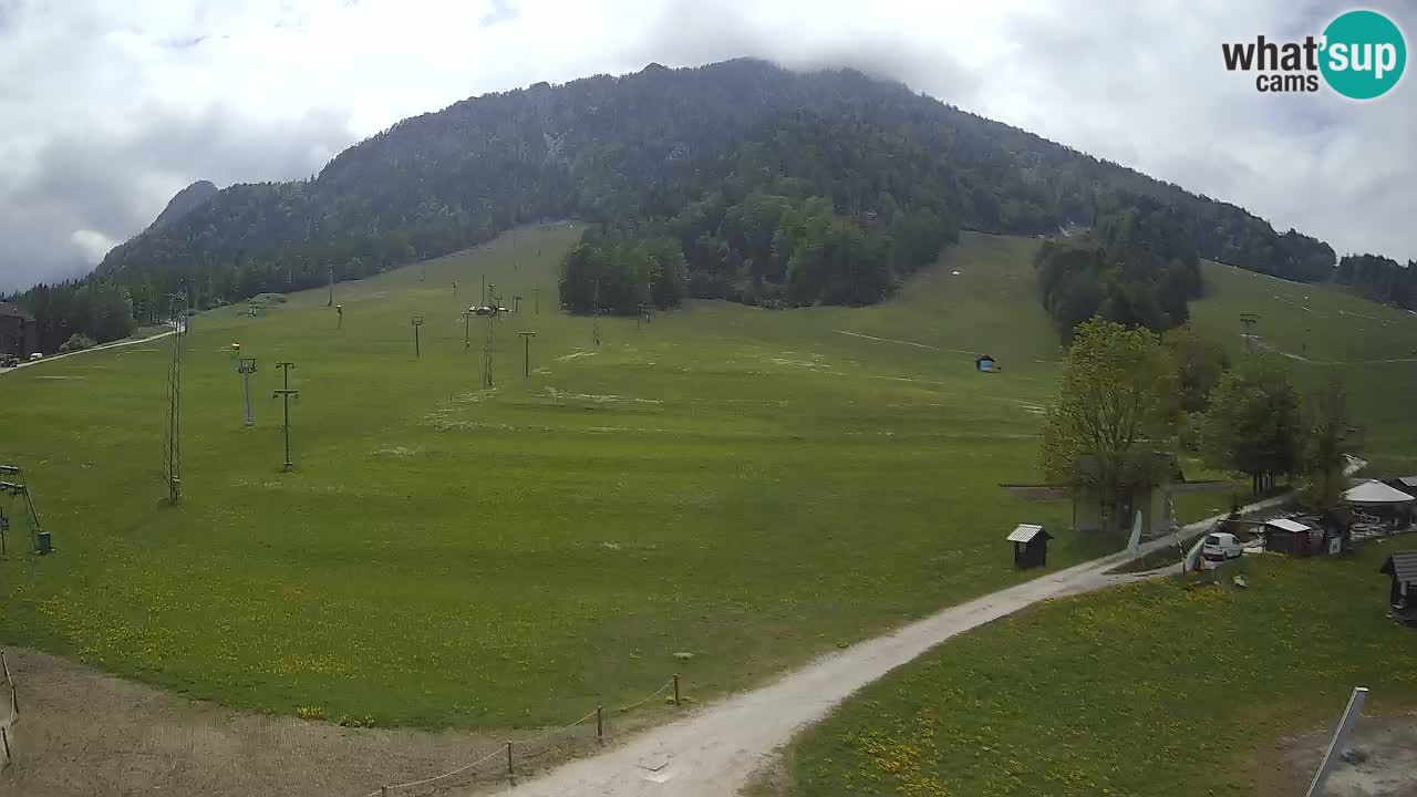 Kranjska Gora Slowenien webcam | Skigebiet Mojca – Rožle – Kekec