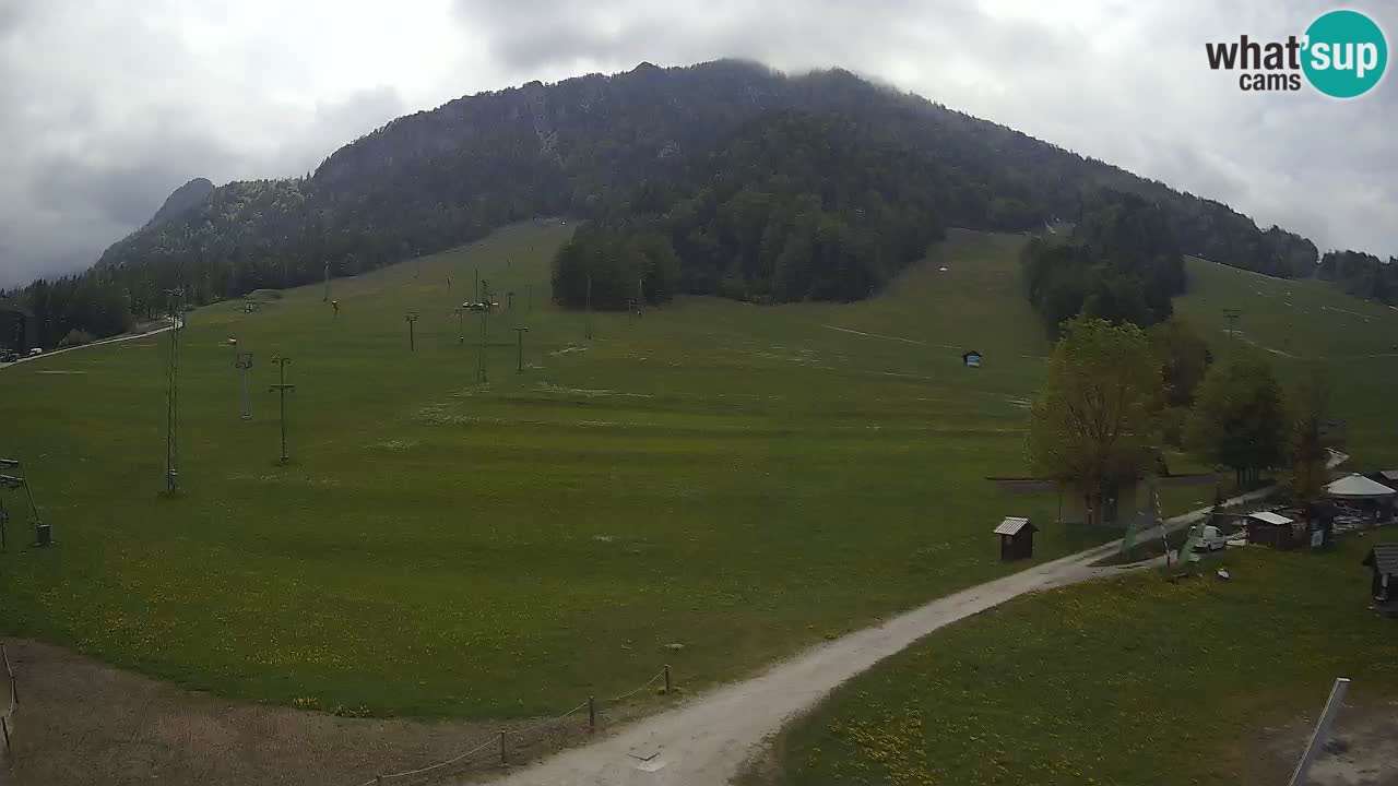 Kamera Kranjska Gora | Smučarska proga Kekec – Mojca – Rožle