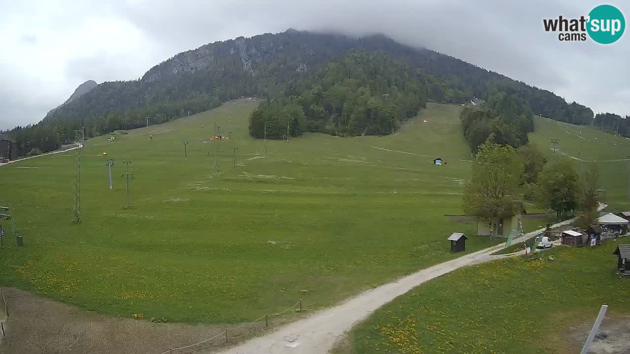 Kamera Kranjska Gora | Smučarska proga Kekec – Mojca – Rožle