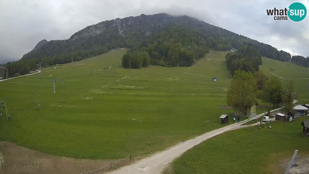 Kranjska Gora Slowenien webcam | Skigebiet Mojca – Rožle – Kekec