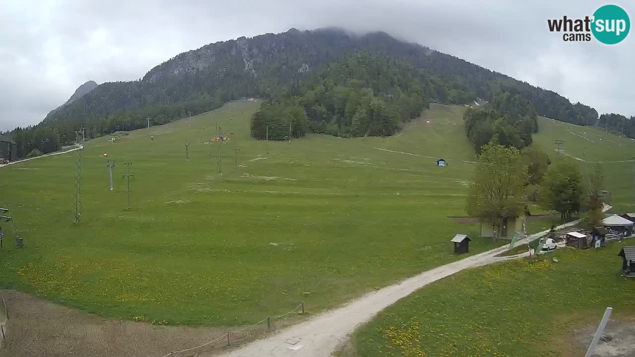 Kranjska Gora SKI area | Mojca – Rožle – Kekec ski sloap