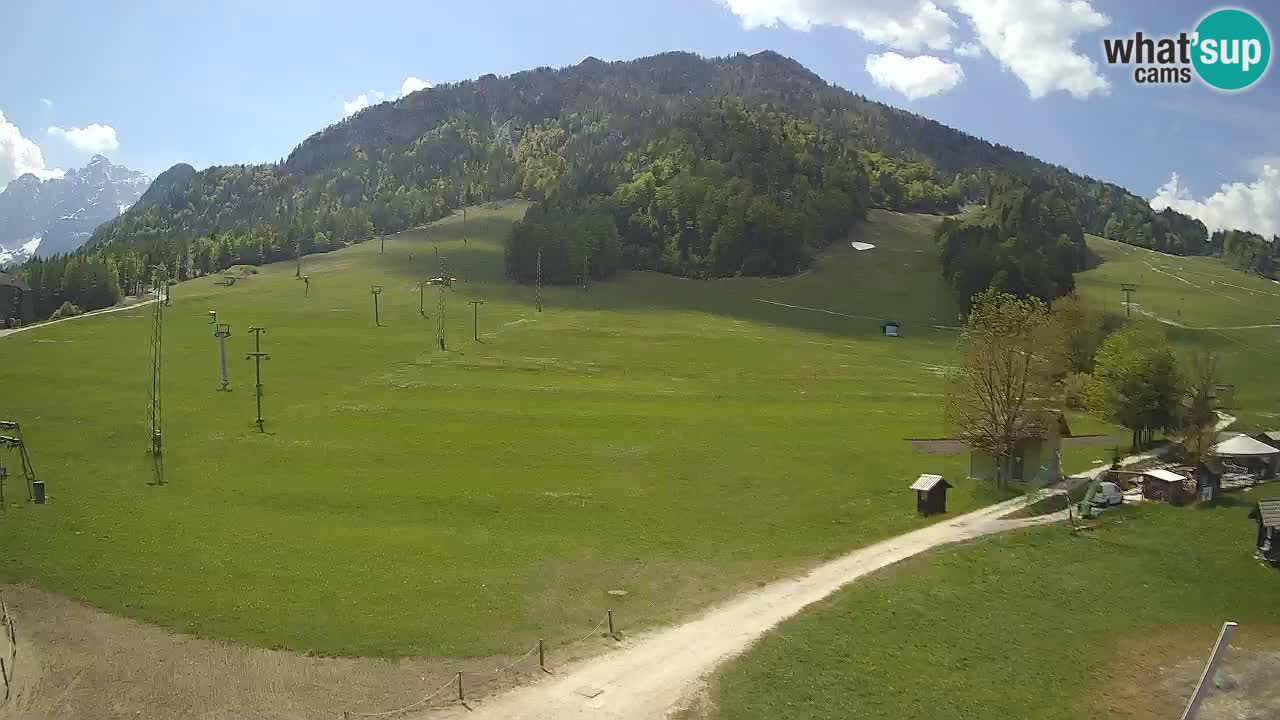 Meteo Kranjska Gora webcam | Piste da sci Kekec – Mojca – Rožle