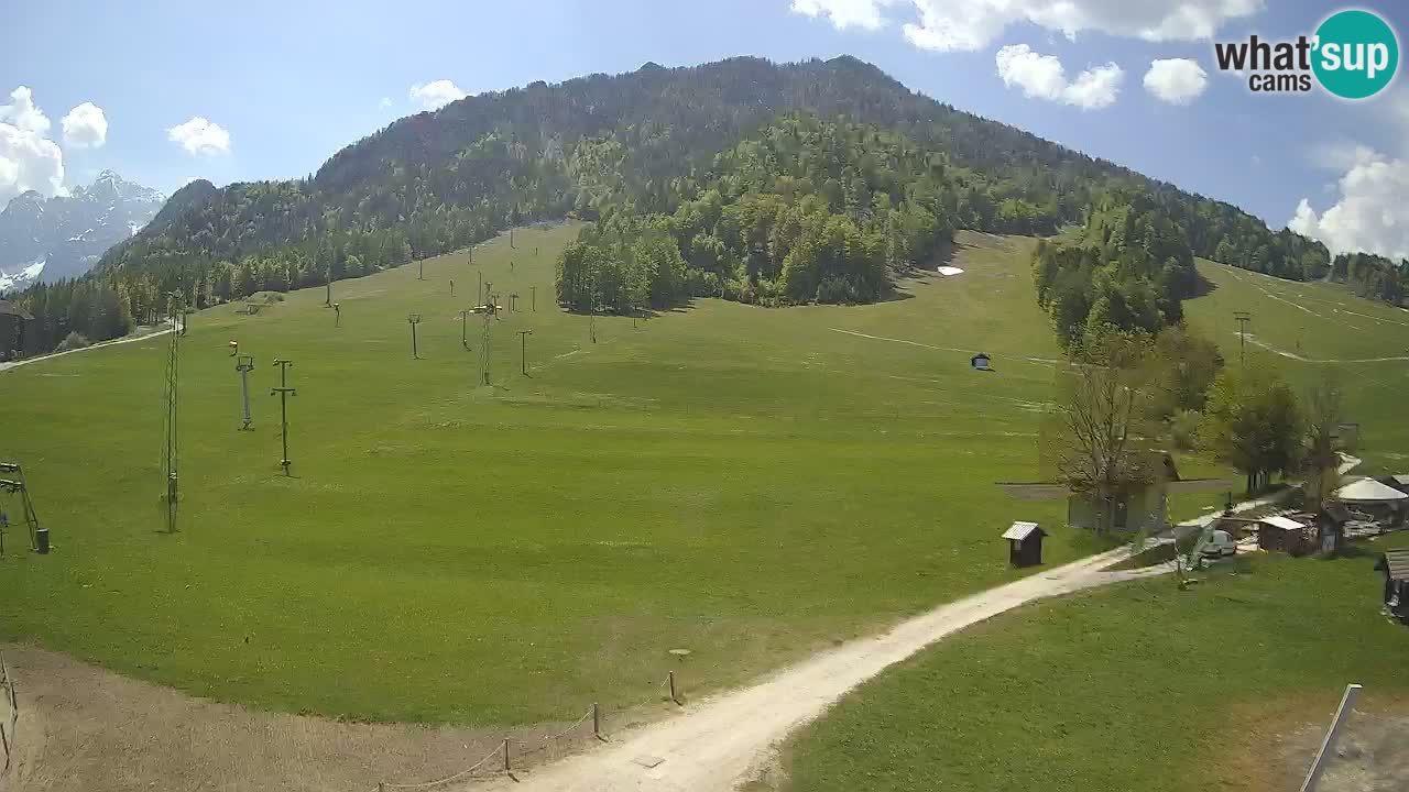 Kranjska Gora Slowenien webcam | Skigebiet Mojca – Rožle – Kekec