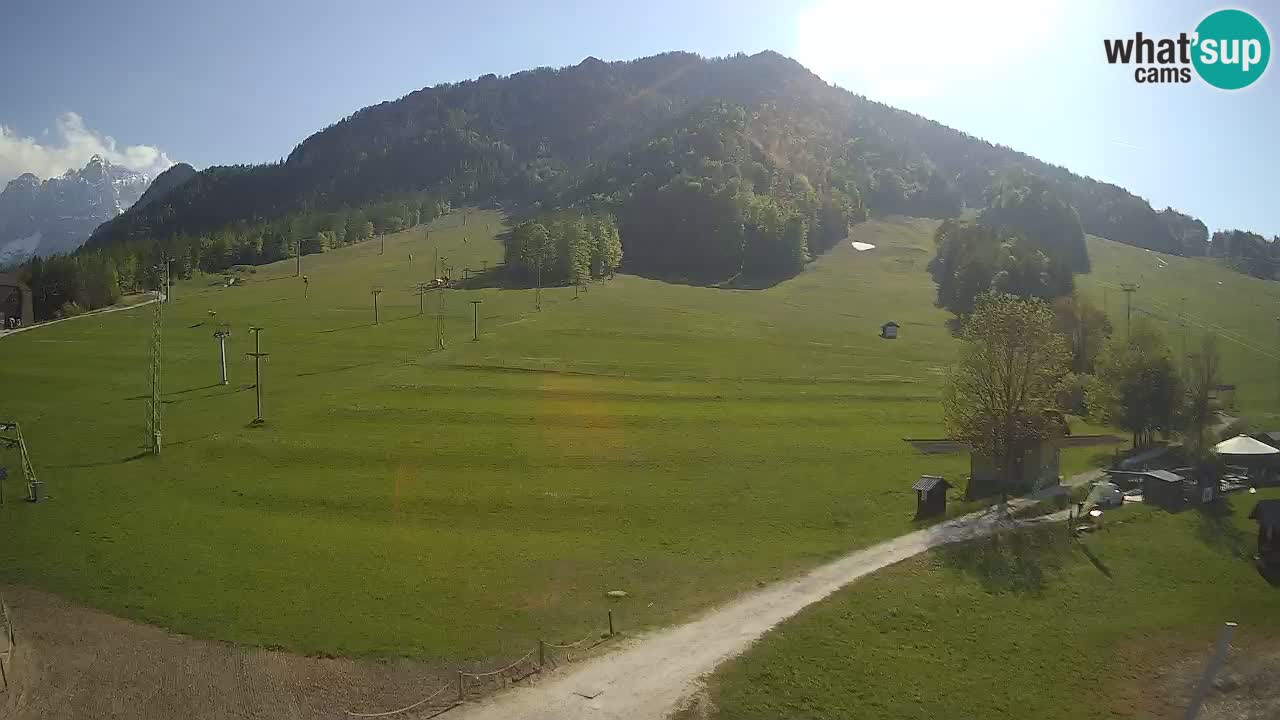 Meteo Kranjska Gora webcam | Piste da sci Kekec – Mojca – Rožle
