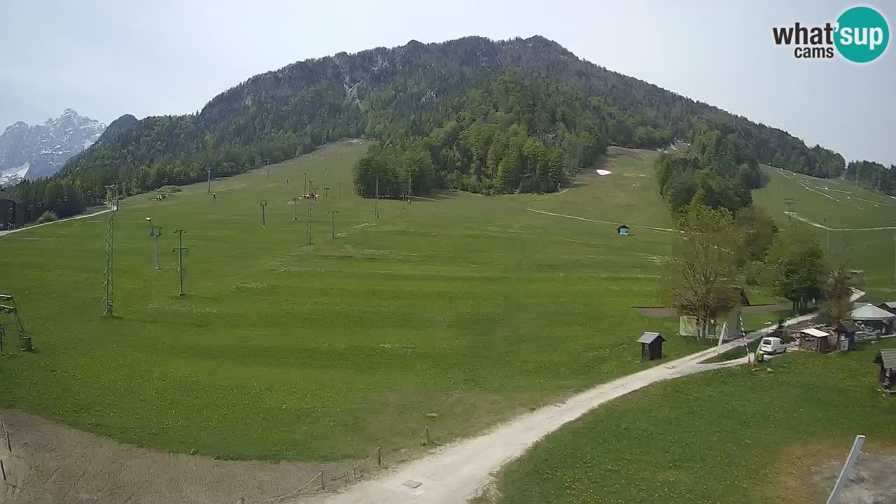 Kranjska Gora SKI area | Mojca – Rožle – Kekec ski sloap