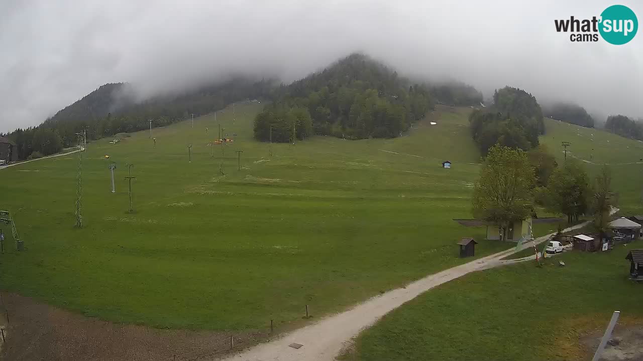 Kranjska Gora SKI area | Mojca – Rožle – Kekec ski sloap