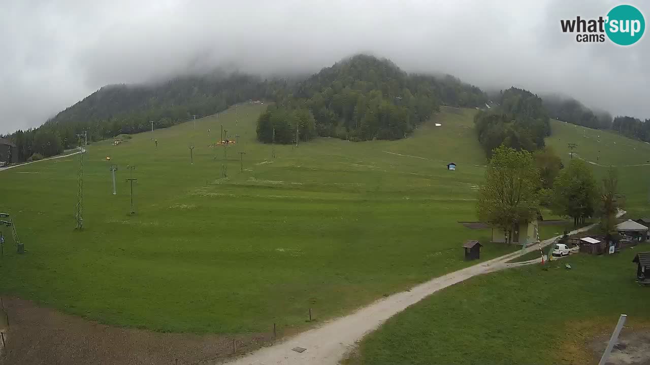 Spletna kamera Kranjska Gora – RTC – Mojca – Rožle