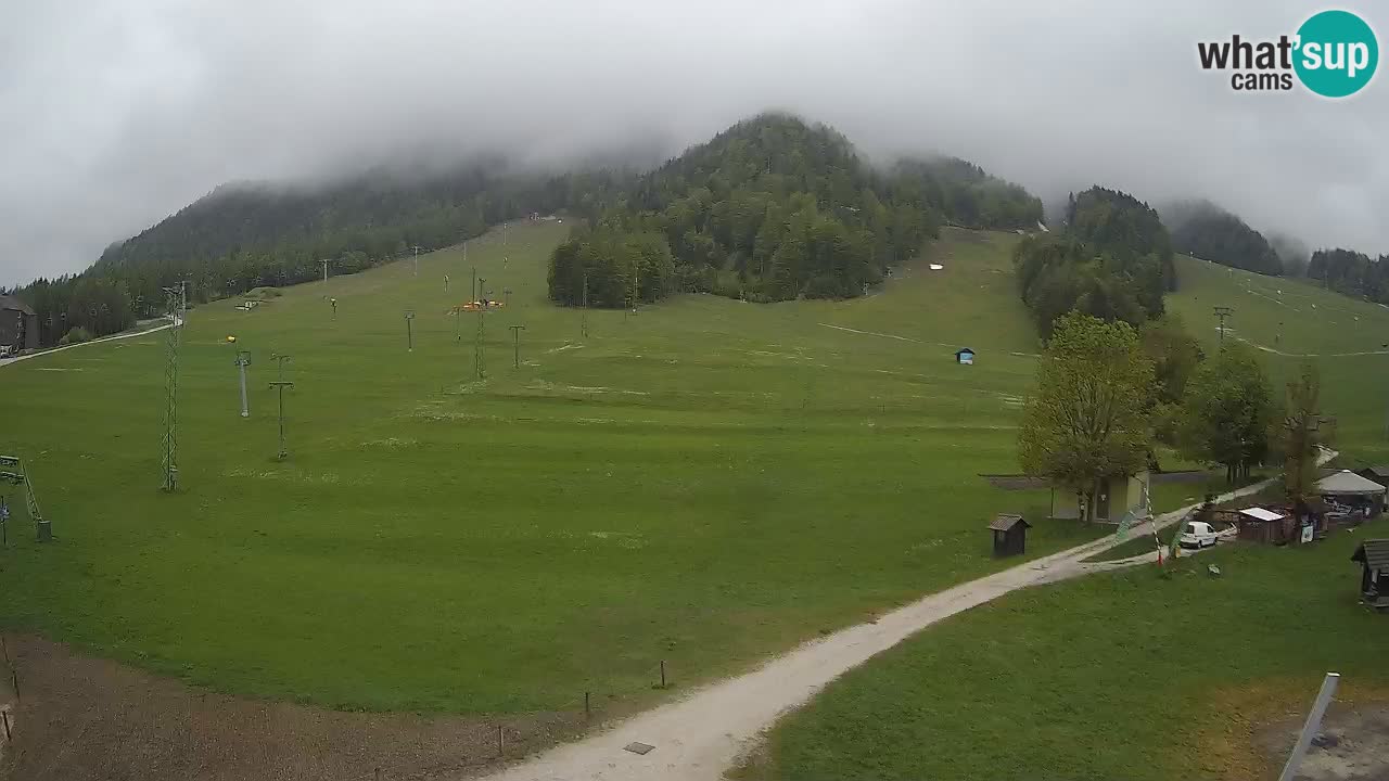 Meteo Kranjska Gora webcam | Piste da sci Kekec – Mojca – Rožle
