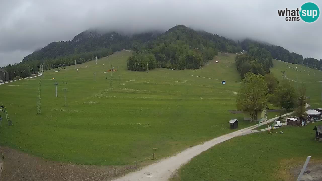 Spletna kamera Kranjska Gora – RTC – Mojca – Rožle