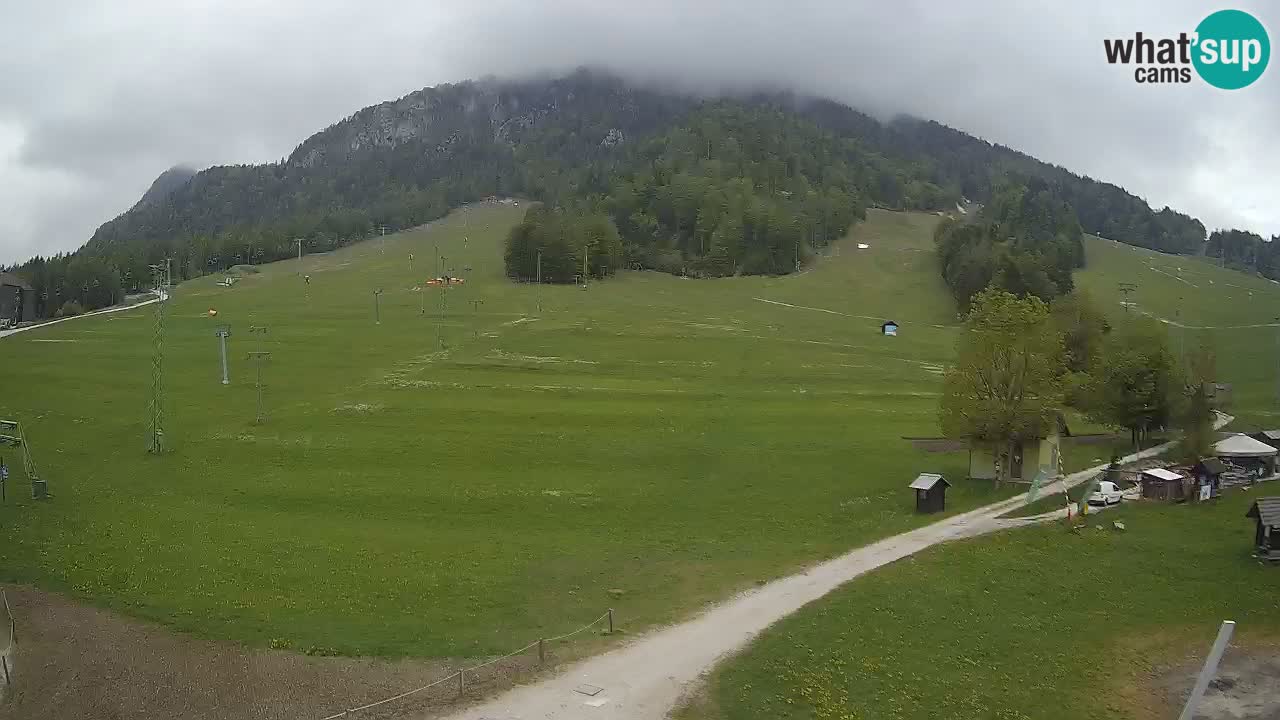 Kranjska Gora SKI area | Mojca – Rožle – Kekec ski sloap