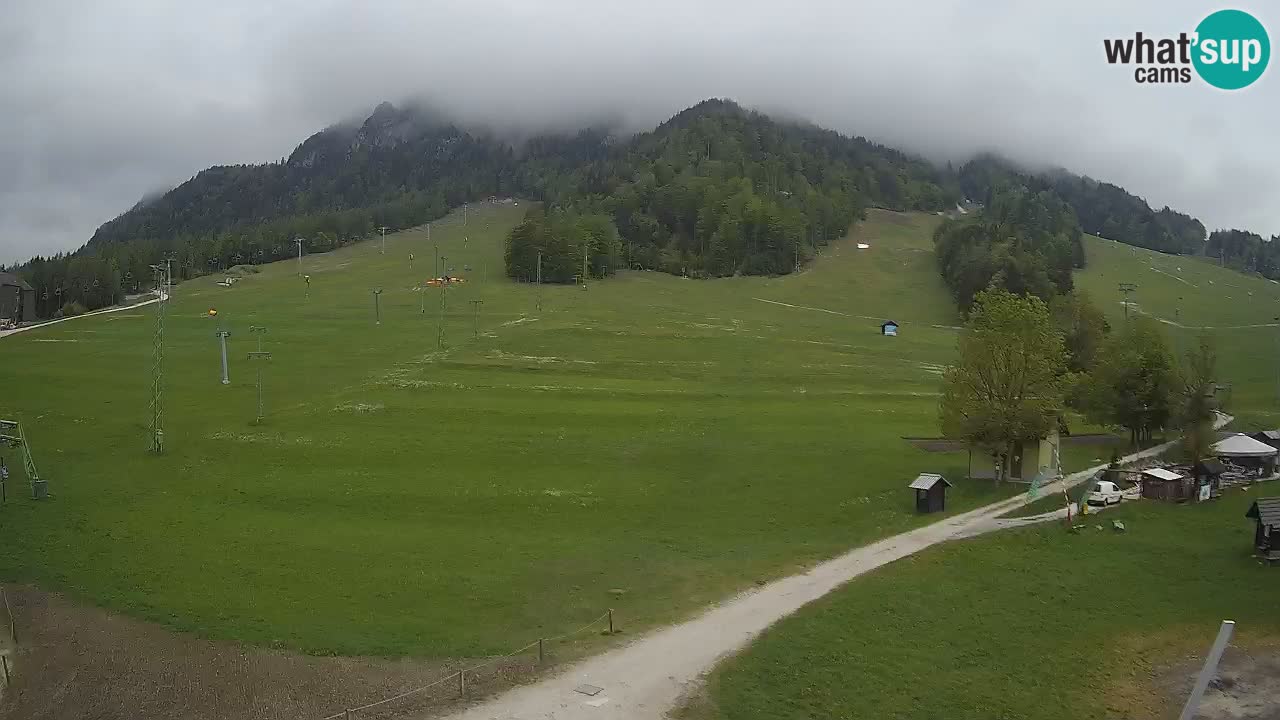 Spletna kamera Kranjska Gora – RTC – Mojca – Rožle