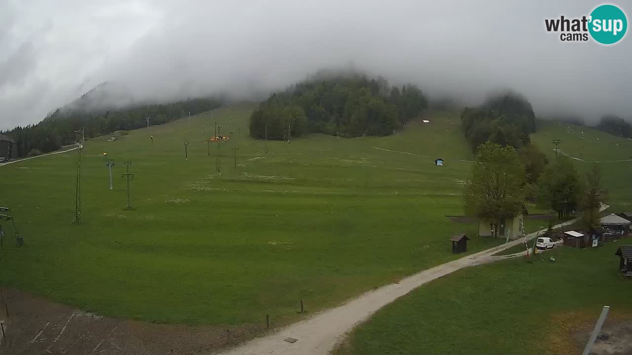 Meteo Kranjska Gora webcam | Piste da sci Kekec – Mojca – Rožle