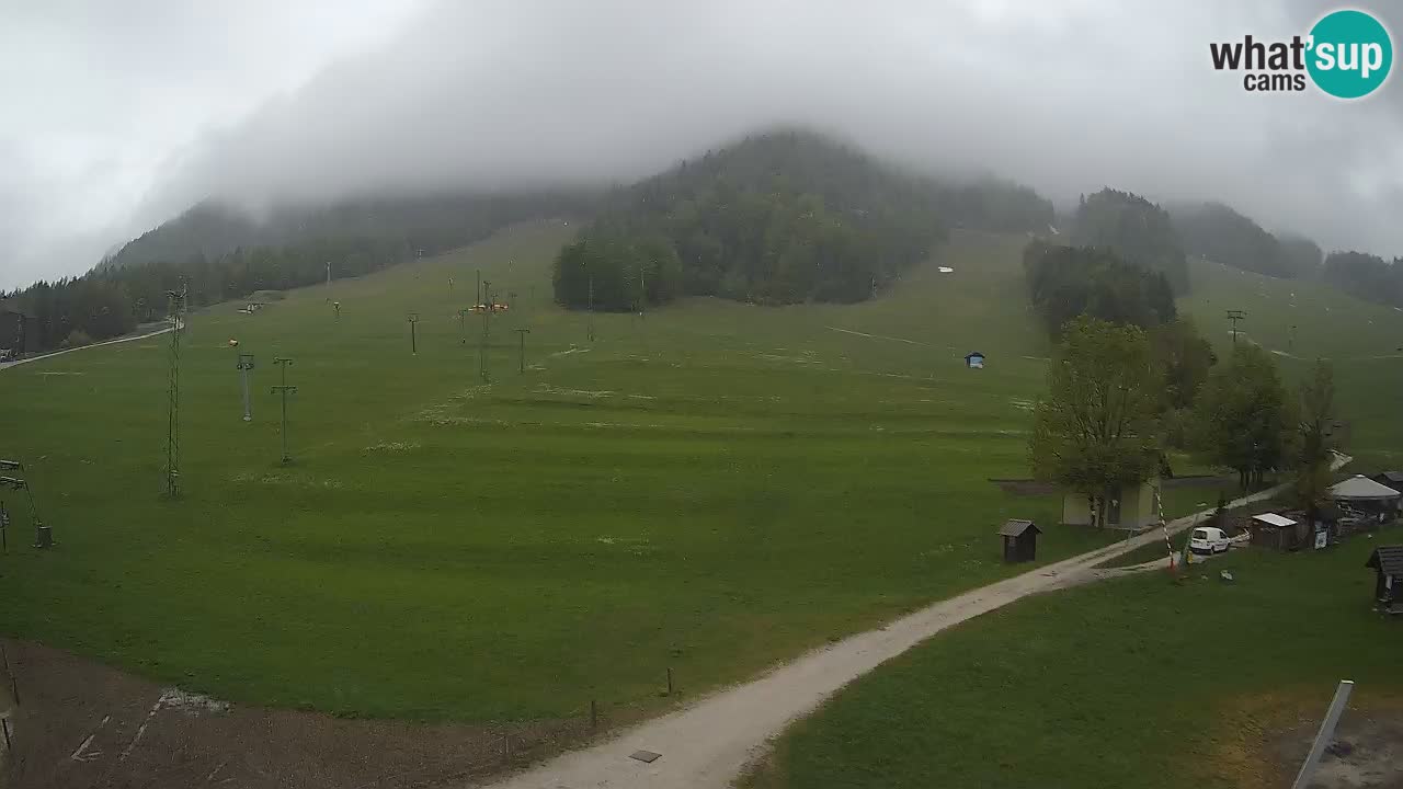 Meteo Kranjska Gora webcam | Piste da sci Kekec – Mojca – Rožle