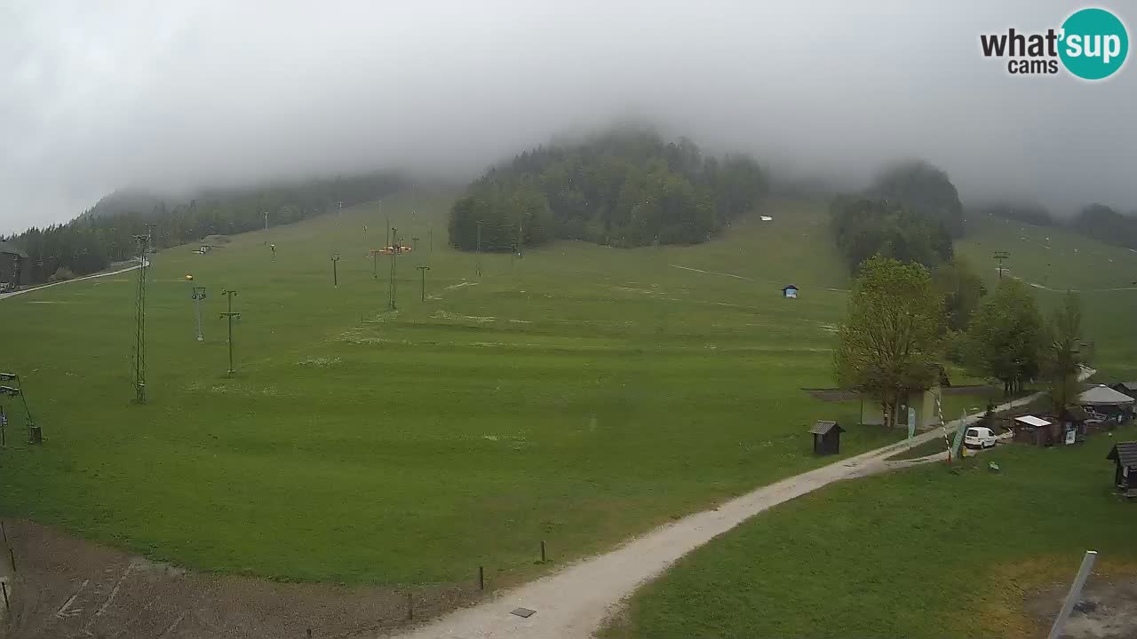 Spletna kamera Kranjska Gora – RTC – Mojca – Rožle