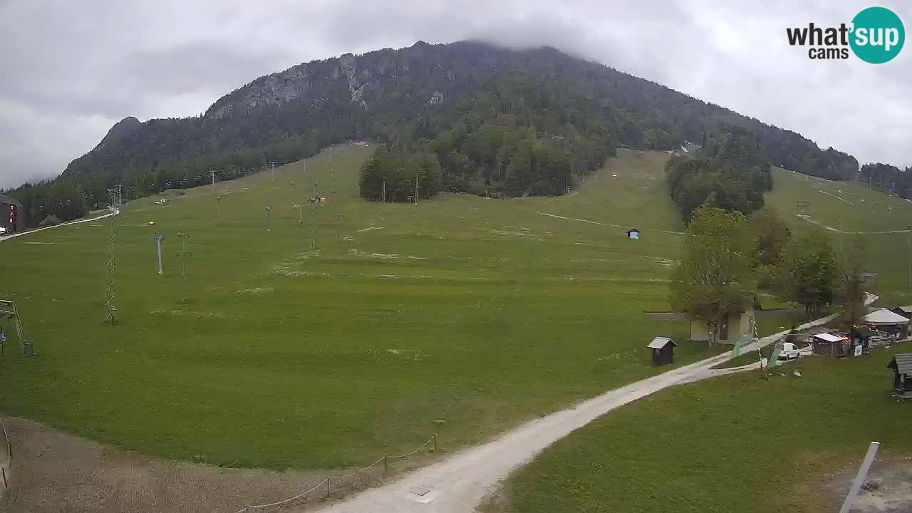 Meteo Kranjska Gora webcam | Piste da sci Kekec – Mojca – Rožle