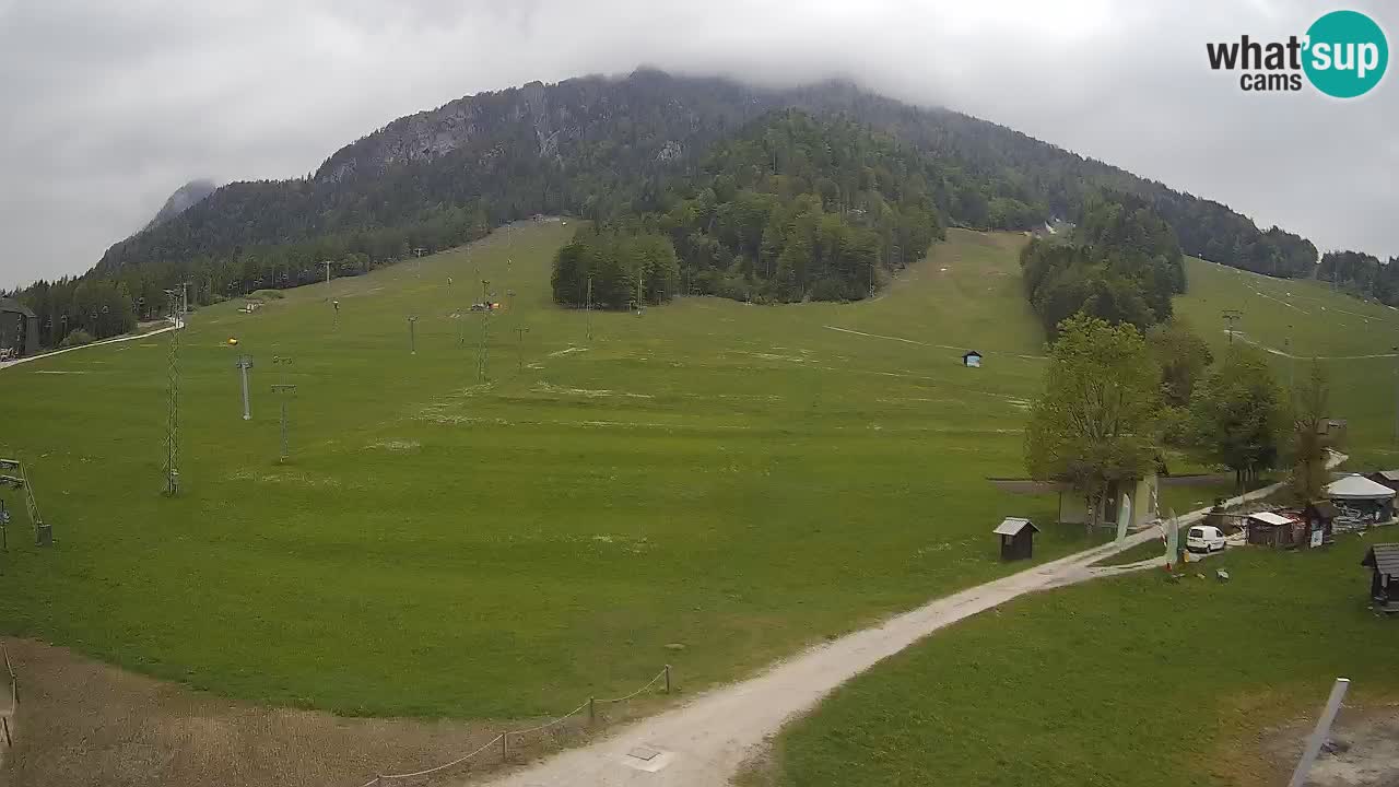 Kranjska Gora Slowenien webcam | Skigebiet Mojca – Rožle – Kekec