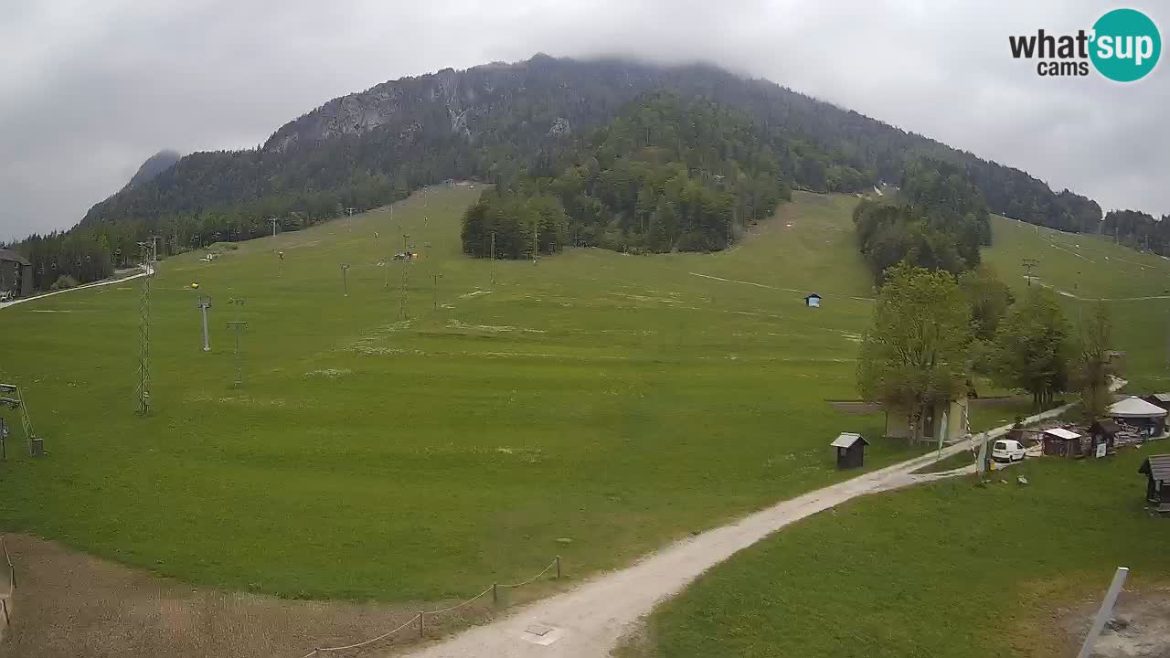 Kamera Kranjska Gora | Smučarska proga Kekec – Mojca – Rožle