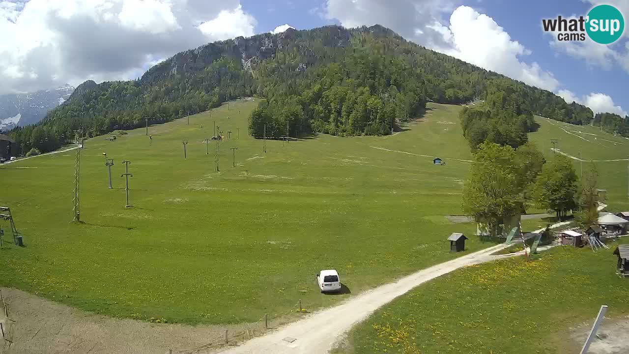Meteo Kranjska Gora webcam | Piste da sci Kekec – Mojca – Rožle
