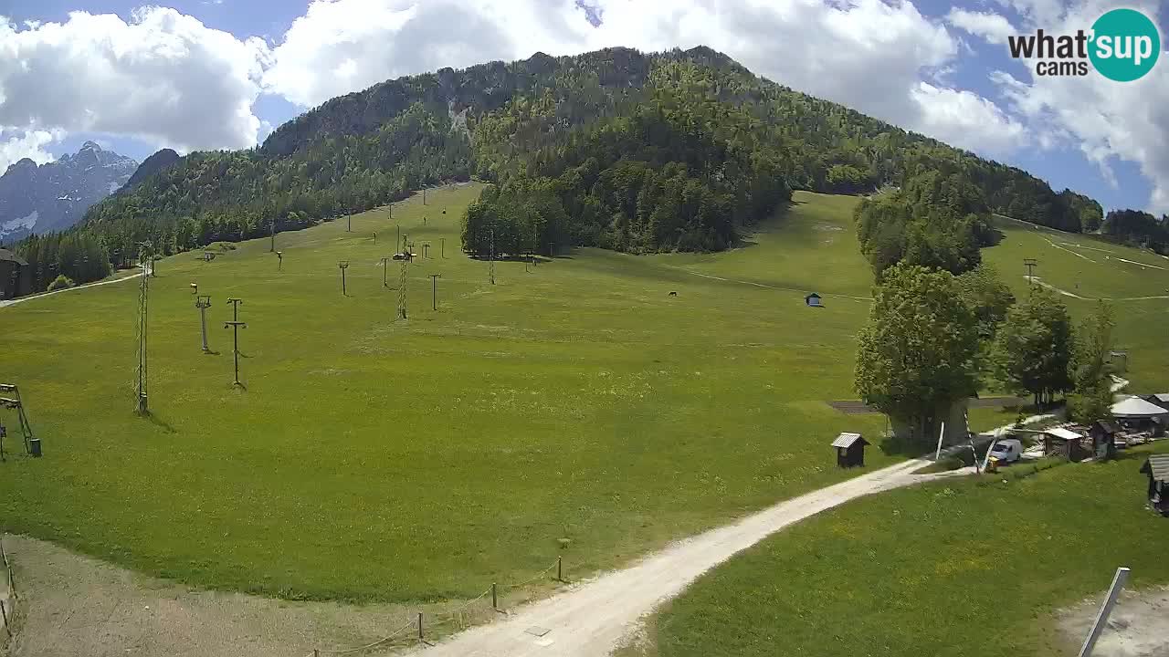 Spletna kamera Kranjska Gora – RTC – Mojca – Rožle