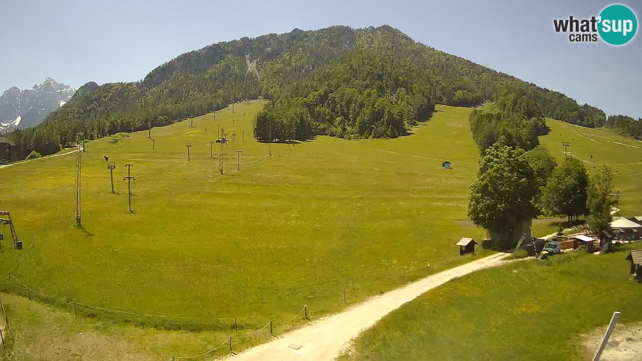 Kranjska Gora Slovénie webcam | Ski Mojca – Rožle – Kekec