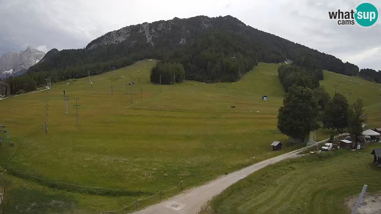 Kranjska Gora SKI area | Mojca – Rožle – Kekec ski sloap