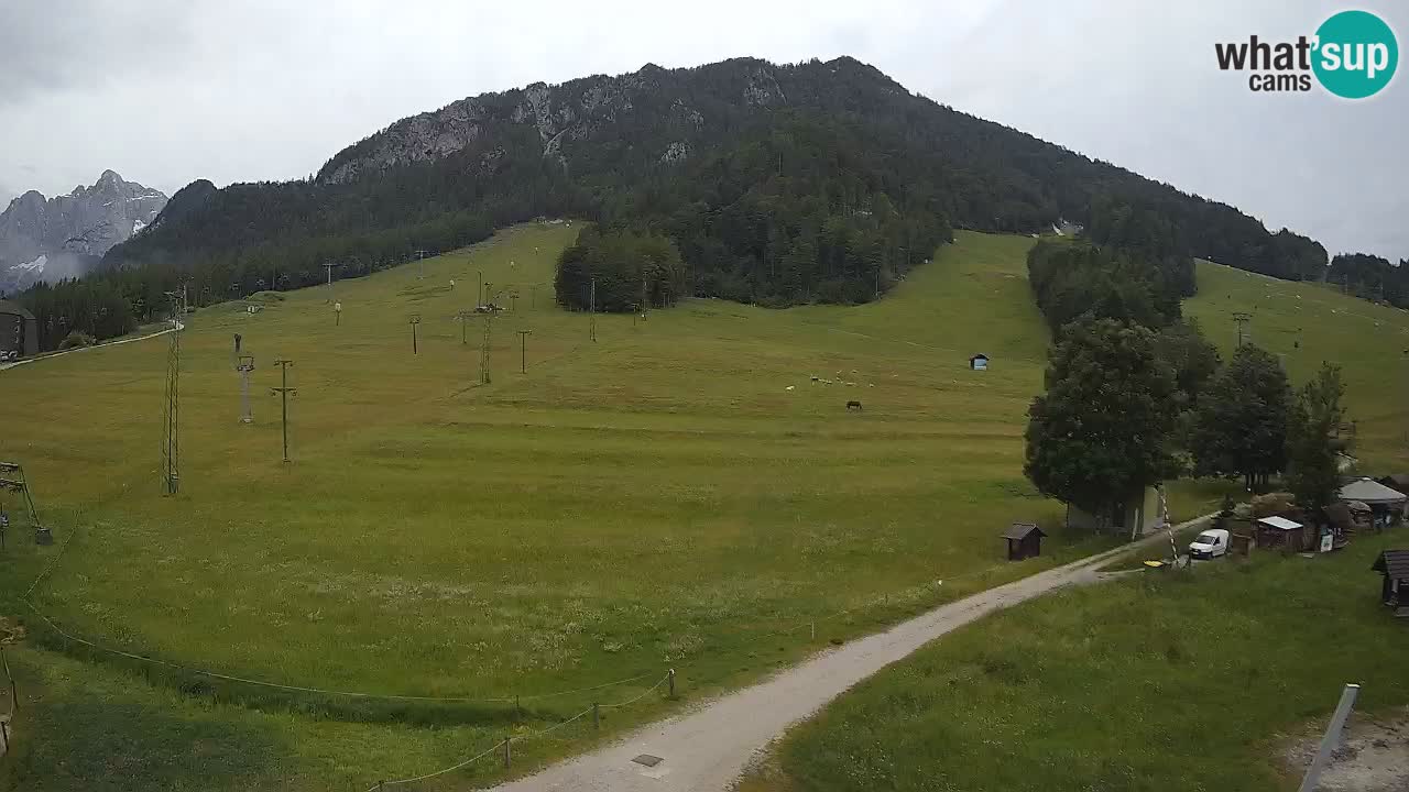 Kranjska Gora Slowenien webcam | Skigebiet Mojca – Rožle – Kekec