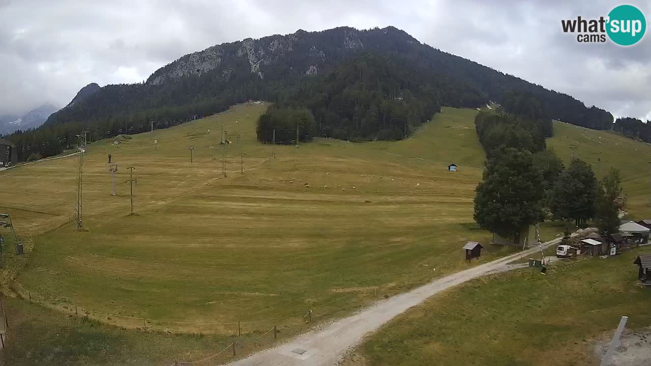 Kranjska Gora Slowenien webcam | Skigebiet Mojca – Rožle – Kekec