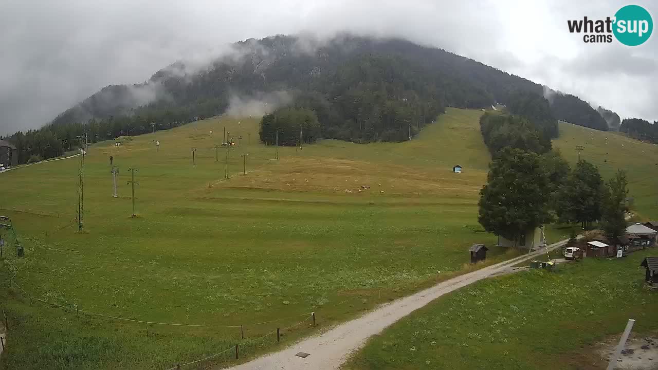 Kranjska Gora SKI area | Mojca – Rožle – Kekec ski sloap