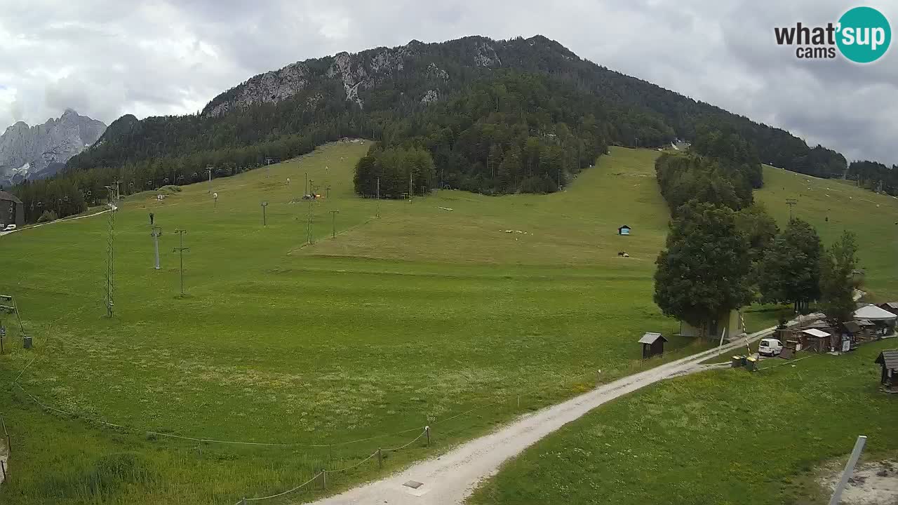 Kamera Kranjska Gora | Smučarska proga Kekec – Mojca – Rožle