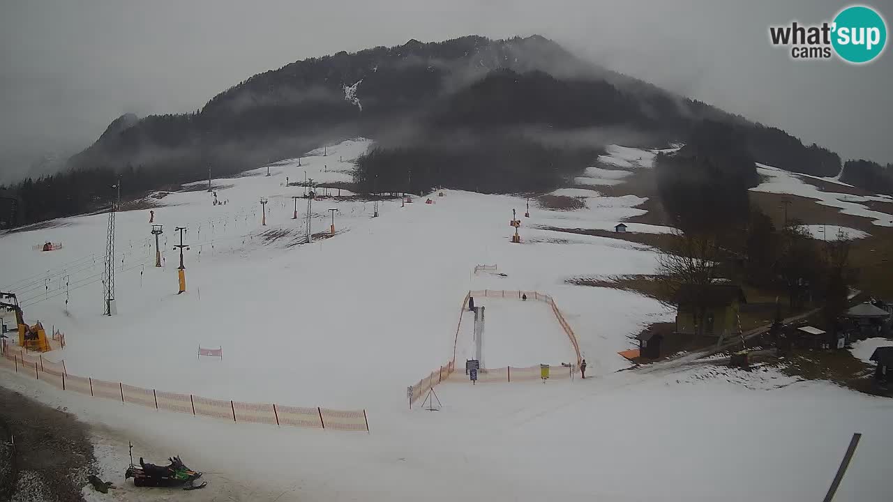 Meteo Kranjska Gora webcam | Piste da sci Kekec – Mojca – Rožle