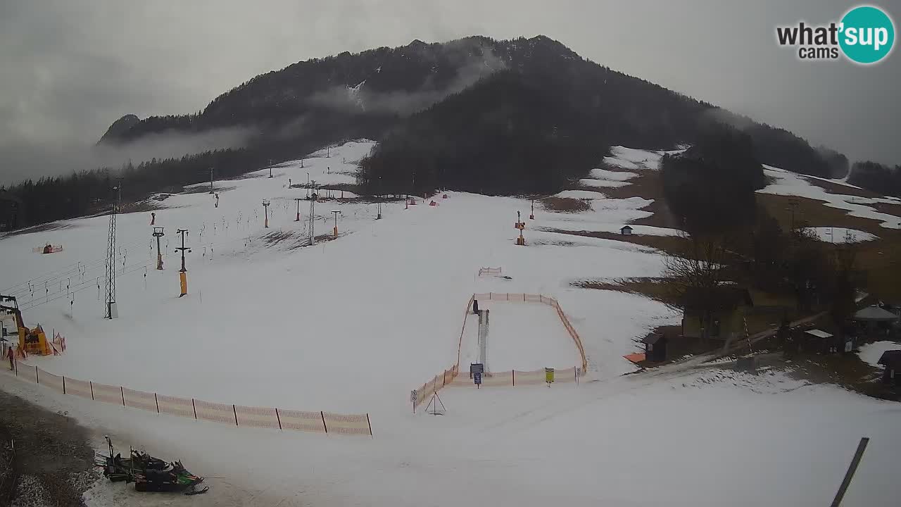 Kamera Kranjska Gora | Smučarska proga Kekec – Mojca – Rožle