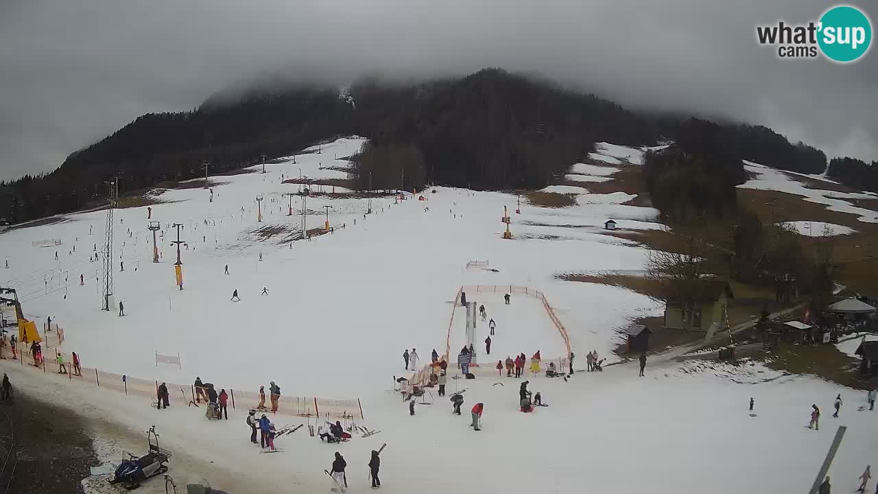 Kranjska Gora Slovénie webcam | Ski Mojca – Rožle – Kekec
