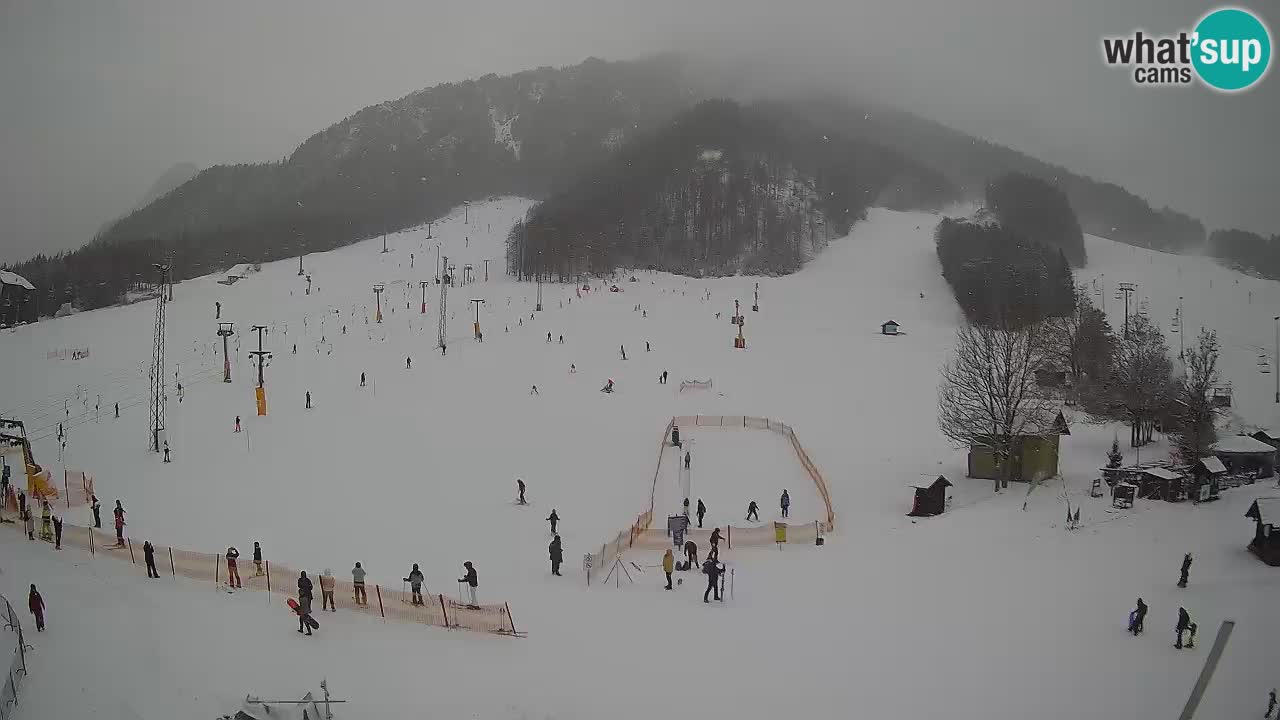 Meteo Kranjska Gora webcam | Piste da sci Kekec – Mojca – Rožle