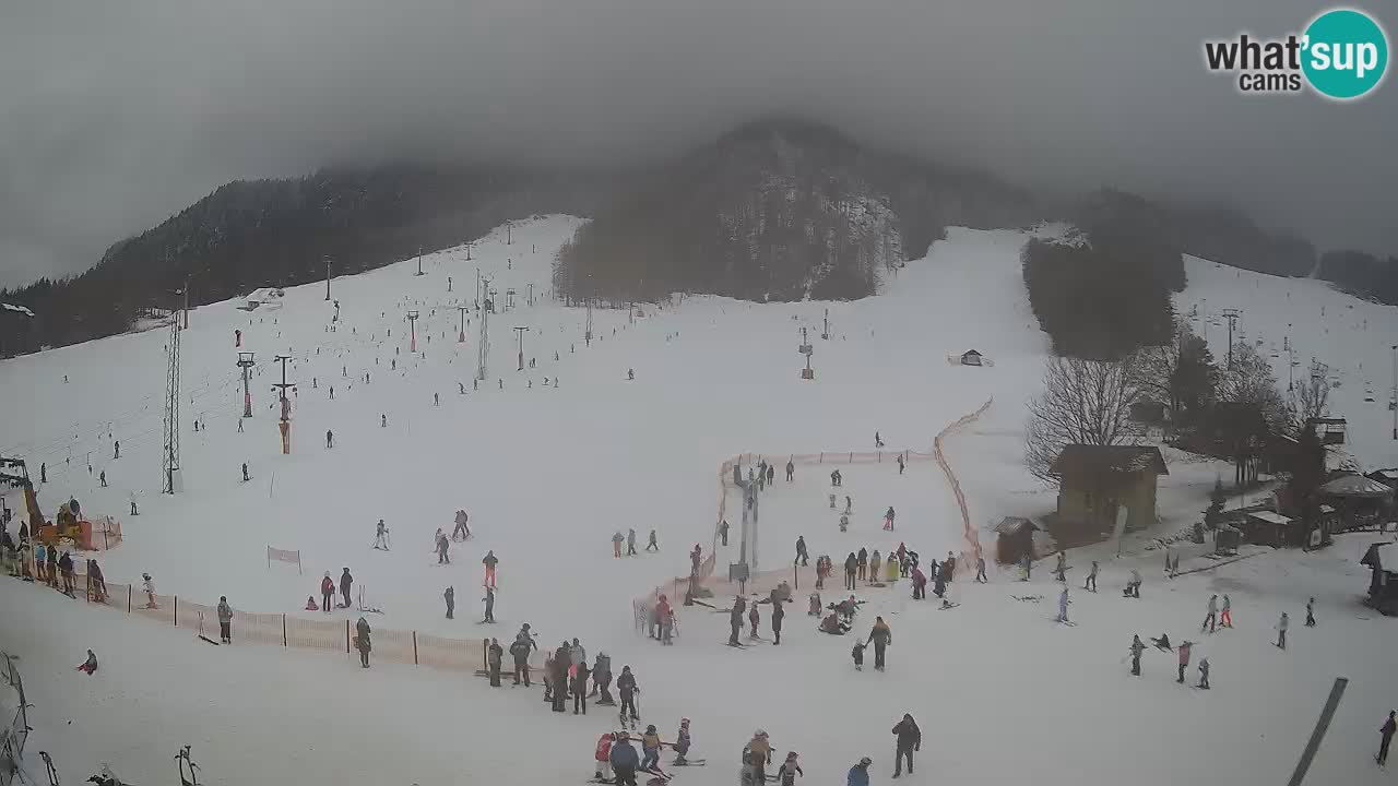 Tiempo Kranjska Gora webcam | Esquí Mojca – Rožle – Kekec