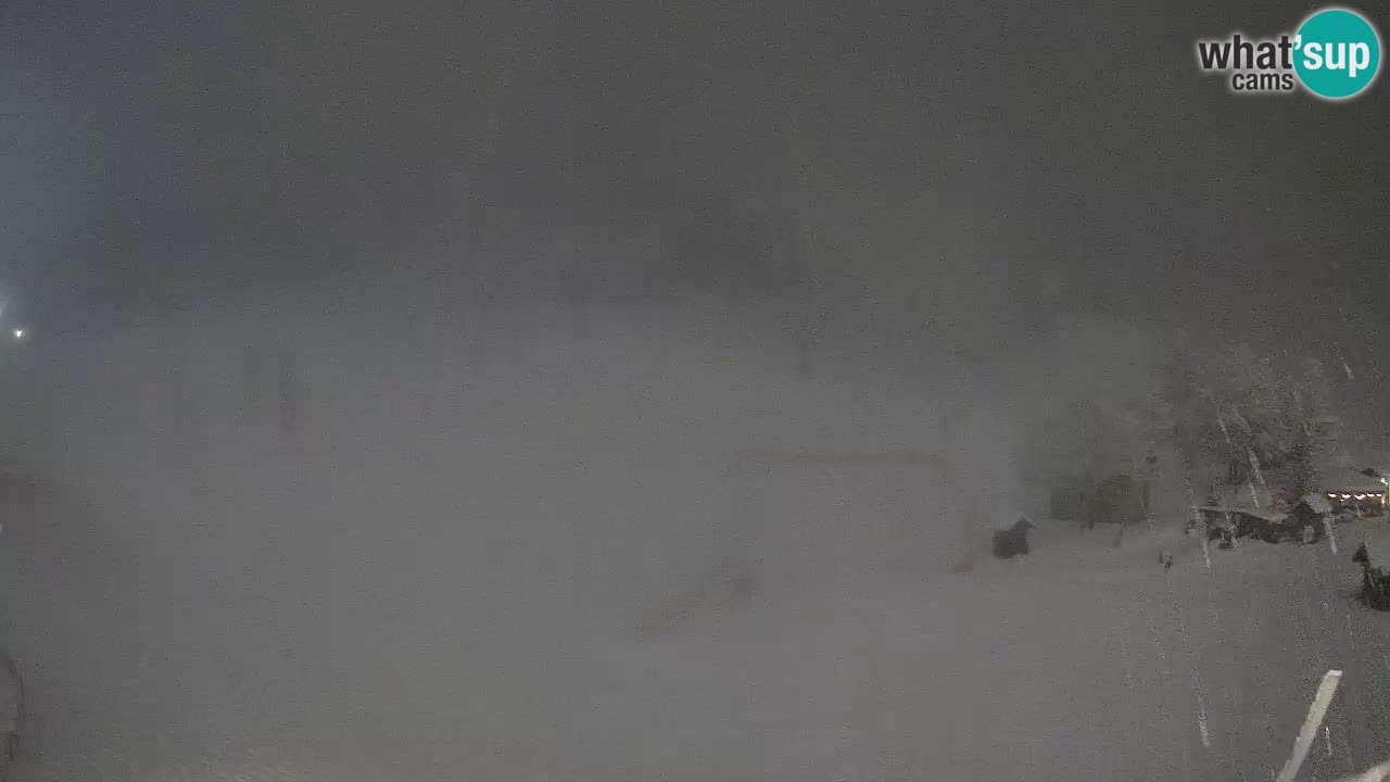 Meteo Kranjska Gora webcam | Piste da sci Kekec – Mojca – Rožle